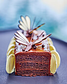 Festive chocolate cake with butterfly decoration