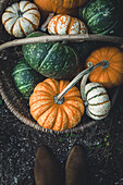 Basket with pumpkins