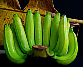 Green bananas with water drops (Thailand)