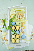 Colorful eggs, ribwort, and bunny shaped cookies in a wooden tray