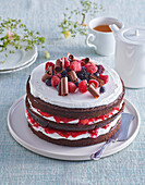 Forest berry fruit cake
