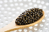 Caviar on a wooden spoon