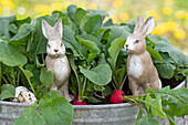 Radish leaves in a pot with bunny figures, Easter decoration