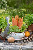 Grüner Pflücksalat mit Karotten in Suppenschüssel und Hasenfigur als Osterdeko