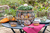 Tischdeko an Ostern, Korb mit Eiern und Kresse und Muffins am Gartentisch