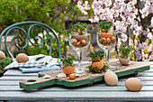 Easter decoration, egg shells with cress and onions in a glass on wooden tray, Easter eggs