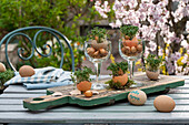 Osterdekoration, Eierschalen mit Kresse und Zwiebeln im Glas auf Holztablett, Eier und beschriftetes Ei
