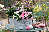 Planter with horned violet (Viola Cornuta), coral rue (Boronia anemonifolia), carnations (Dianthus), with Easter eggs and decoration on garden table