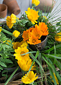 Ringelblumen (Calendula) im Vintage Metallgefäß mit Gräsern im Korb