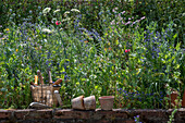 Gartenutensilien auf Mauer vor sommerlichem Gartenbeet