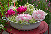 Flower arrangement of peonies (Paeonia) and meadow ragwort (Galium mollugo) in bowl