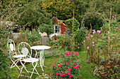 A seating area in a natural allotment garden with roses