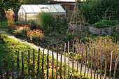 A natural autumnal garden with shrubs and a greenhouse in the background