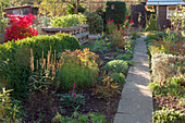 Allotment garden in autumn with path
