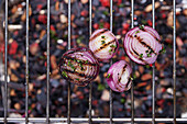 Grilled red onions on a grill rack