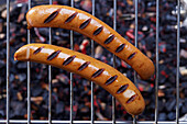 Grilled ham sausages on a grill rack