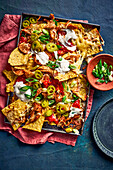 Nachos with roasted turkey (leftovers)