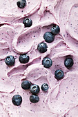 Sugar-free frozen blueberry yoghurt (full frame)