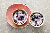 Sugar-free frozen blueberry yoghurt