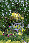 Hängestuhl aus Makramee unter blühender Kletterrose im sommerlichen Garten
