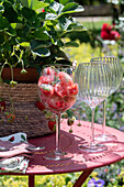 Ice cubes with strawberries and rosemary