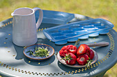 Ice cubes with strawberries and rosemary