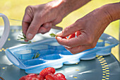 Eiswürfel mit Erdbeeren und Rosmarin