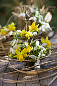 Mini daffodils, snowdrops and mimosa on a small etagere