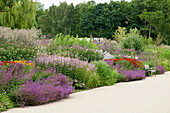 Summer border