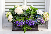 Window box