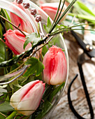 Tulpe (Tulipa), Arrangement