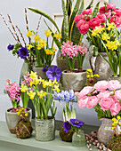 Verschiedene Frühlingsblumen in Blumentöpfen und Vasen