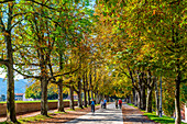 Path along the city walls (Le Mura), Lucca, Tuscany, Italy, Europe