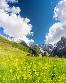 Einsame traditionelle Hüttengruppe in einem wilden Alpental, Val d'Arigna, Orobie, Valtellina, Lombardei, Italien, Europa