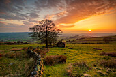 Sonnenuntergang mit verfallener Scheune bei Roach End, The Roaches, Peak District, Staffordshire, England, Vereinigtes Königreich, Europa