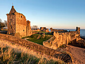 St. Andrews Castle at sunrise, St. Andrews, Fife, Scotland, United Kingdom, Europe