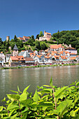 Burg Hirschhorn Castle, Hirschhorn am Neckar, Burgenstravue, Odenwald, Neckartal Valley, Hesse, Germany, Europe