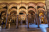 Säulen und doppelstöckige Bögen, Große Moschee (Mezquita) und Kathedrale von Cordoba, UNESCO-Welterbe, Cordoba, Andalusien, Spanien, Europa