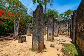 Ruins of medieval Swahili coastal settlements of Gedi, Kilifi, Kenya, East Africa, Africa