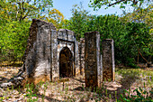 Ruinen der mittelalterlichen Suaheli-Küstensiedlungen von Gedi, Kilifi, Kenia, Ostafrika, Afrika