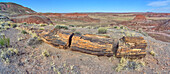 Petrified Log below Chinde Point in Petrified Forest National Park, Arizona, United States of America, North America