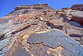Ancient Indian petroglyphs on a boulder near Martha's Butte in Petrified Forest National Park, Arizona, United States of America, North America