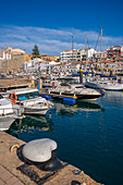 View of boats in marina overlooked by whitewashed houses, Ciutadella, Menorca, Balearic Islands, Spain, Mediterranean, Europe