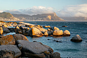 Boulders Beach, Cape Town, Western Cape, South Africa, Africa