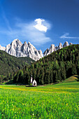 Flowering meadows in spring surrounding the small church of St. John in Ranui and Odle peaks, Funes Valley, Dolomites, South Tyrol, Italy, Europe