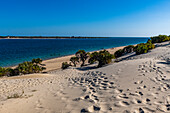 Strand von Shela, Insel Lamu, Kenia, Ostafrika, Afrika