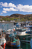 Fishing and pleasure boats moored in Mallaig harbour, Highlands, Scotland, United Kingdom, Europe