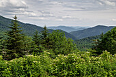 View of the Blue Ridge Mountains from the Appalachian Trail in summer, Avery County, North Carolina, United States of America, North America