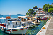 Blick auf Belvedere Skiathos Alter Hafen und Skiathos Stadt, Insel Skiathos, Sporaden-Inseln, Griechische Inseln, Griechenland, Europa
