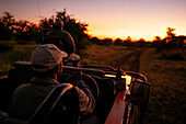 Safari-Fahrt im Timbavati Private Nature Reserve, Krüger-Nationalpark, Südafrika, Afrika